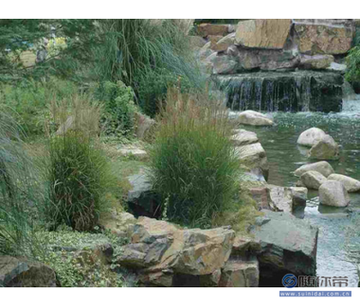 百草園供應(yīng)可靠的園林景觀工程，寧波與博羅縣專業(yè)服務(wù)